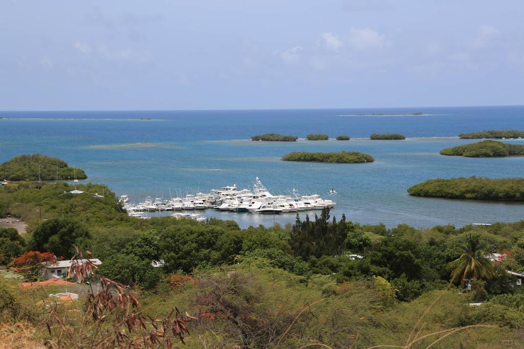 Parador Turtle Bay Inn La Parguera Eksteriør bilde
