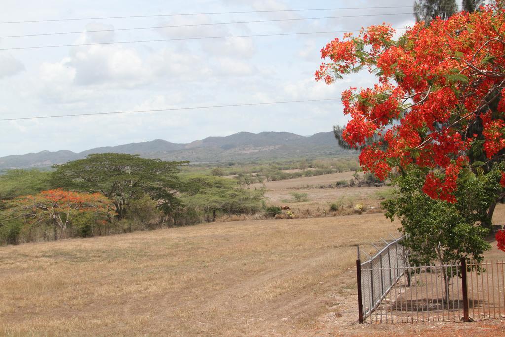 Parador Turtle Bay Inn La Parguera Eksteriør bilde